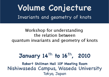 Volume Conjecture